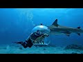 What Dog Can See Under The Sea Keeralogia