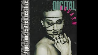 Digital Orgasm   Reality