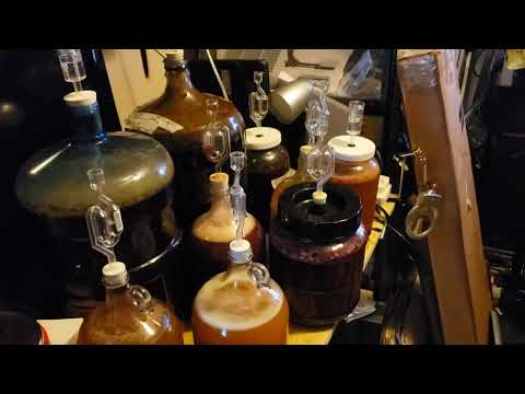 viking blood 2.0 cranking !!!