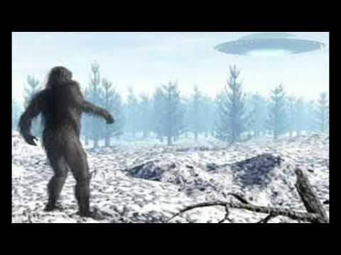 Ron's Guest Commentary on 'Inspired by Bigfoot'.