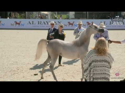 Prague  2023 Intercup   Class 1A