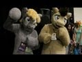 Why Bronies Are The Worst Thing Ever