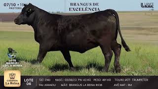 LOTE 6  3160