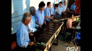 preview picture of video 'Marimba Union Maya - El tacuatzin'