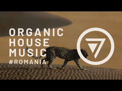 Raidho - Jaguar Dance feat. T.Etno [@sabonyc ] | Best Organic House Selection | Romania | 2023