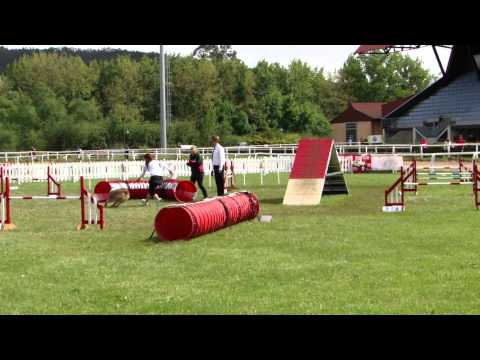 Snooker - World Agility Open Championship 2013 (Oviedo, Spain)