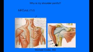 Why is my shoulder painful Evergreen