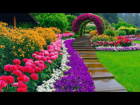 Serenity Blooms in the Rain Garden🏡Relaxing Garden Designs That Heal Your Mind and Calm Your Spirit