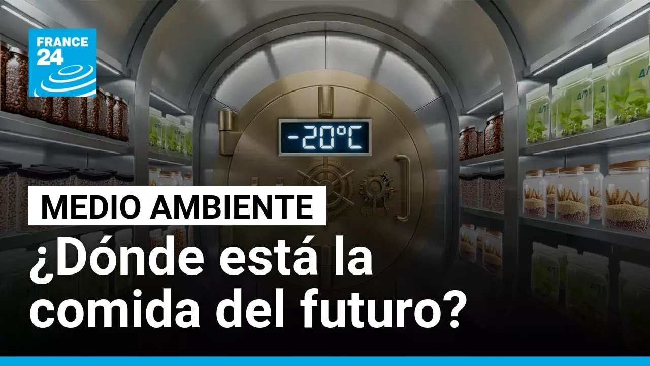 Olivos guardados en Svalbard: el futuro de tu comida está en una bóveda a -20ºC • FRANCE 24