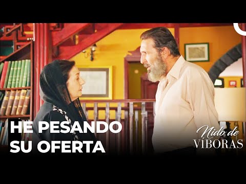 Acuerdo De Sra. Bereket Y Kudret - Nido De Víboras