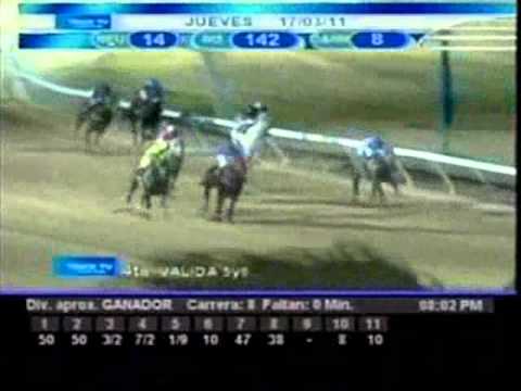 Resumen jueves 17 de marzo 2011 - Valencia