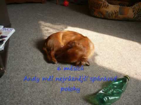 Vzpomínka na Andyho