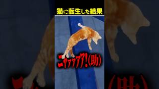 ネコ1日目　#ピロ #ゲーム実況 #ゲーム実況者 #OnlyWayisDown