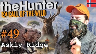 The Hunter : COTW - Ep. 49 - Beaver Fever i Askiy Ridge!