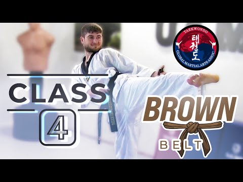 Taekwondo - Brown Belt - Class 4 thumbnail