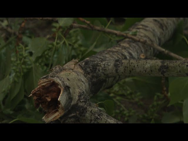 В одном из дворов Ангарска после очередных капризов сибирской погоды произошёл инцидент