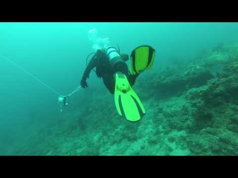 Boca Dive 2017-06-03 #3