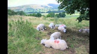 "Castleton" 27-07-2013 Peak District U.K. Te buscare(Remix) Cezar k feat Johann Music