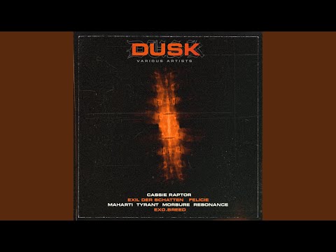 Exil der Schatten - Wrong Division