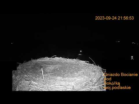 Gniazdo Bocianie pod Sokółką  24.09.2023.