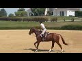 HASSIDI DE BLONDEL