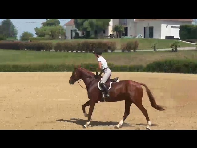 HASSIDI DE BLONDEL