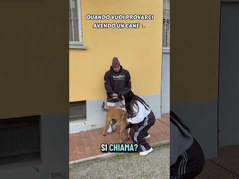 Quando vuoi provarci senza avere un cane VS Quando vuoi provarci avendo un cane 🦮