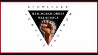 New World Order Resistance - Song For Freedom!