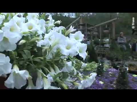 download lagu mp3 mp4 Jardinerie Brabant Wallon, download lagu Jardinerie Brabant Wallon gratis, unduh video klip Jardinerie Brabant Wallon