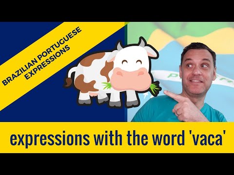 VACA! (Brazilian Portuguese Expressions)