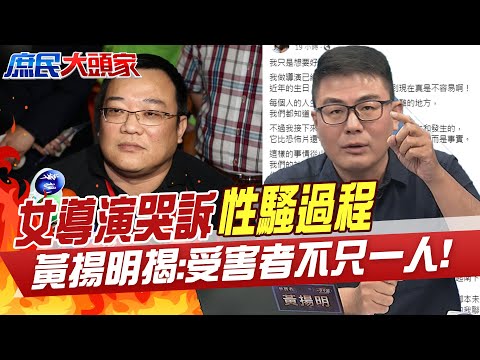 2010-2023洪智坤性騷事件