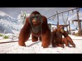 PLANET ZOO Bornean Orangutan Arctic Research Park