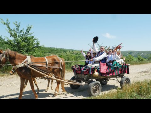 Vladut&Ryana (DoReMi-Show) - De mânuțe ne luăm, hora mare s-o jucăm 4k