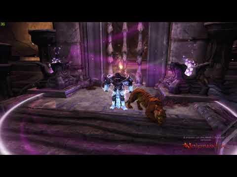 NeverWinter Dragon vs Dragonborn