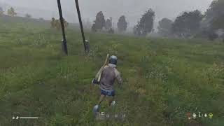 【DayZ】