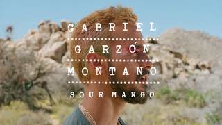 Gabriel Garzón  Sour Mango  Lirycs