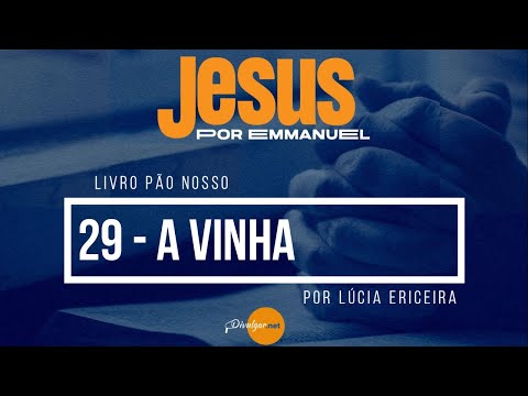 Pão nosso  -  Capítulo 29   A vinha  - por Lúcia Ericeira