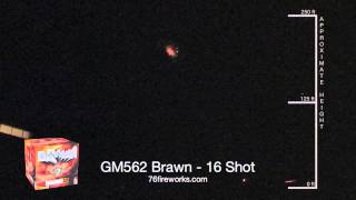preview picture of video 'GM562 Brawn - 16 Shot'