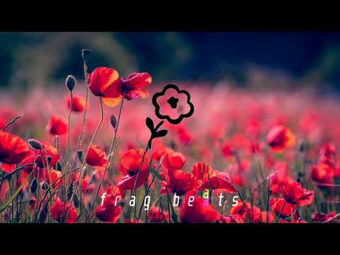 [FREE] Népal x Dinos TYPE BEAT - "Paix" (Prod. by BabybelOTT)