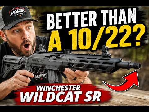 Winchester Wildcat 22 Rifle Review- Budget Friendly Blaster!