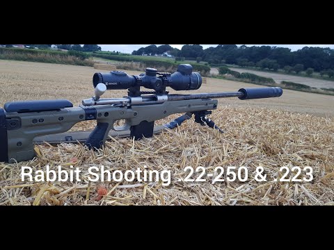 Rabbit Shooting - .22-250 & .223 - Remington 700 & Howa 1500 - Oneleaf mars MT100LRF - Alpex 4K