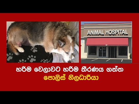 | www.citizen.lk #Goodnews of the week #citizen#lk