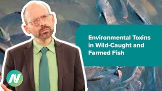 Are Environmental Toxins Lower in Wild-Caught or Farmed Fish?