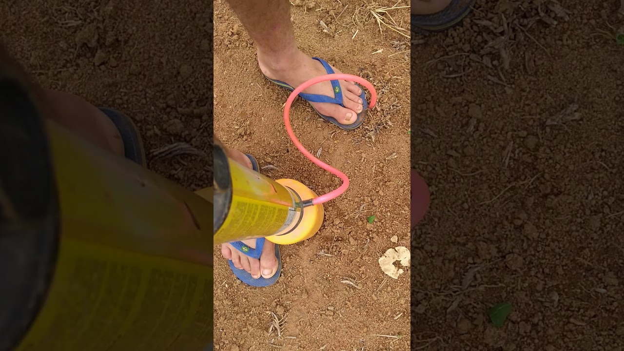 Watch Now Como matar formigas cortadeira saúva Como matar formigas cortadeira saúva