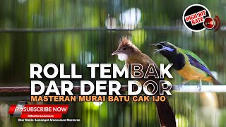 Download lagu Masteran Cucak Jenggot Gacor Beset Isian vs Cucak Cungkok Roll Tembak mp3 Download lagu Masteran Cucak Jenggot Gacor Beset Isian vs Cucak Cungkok Roll Tembak mp3