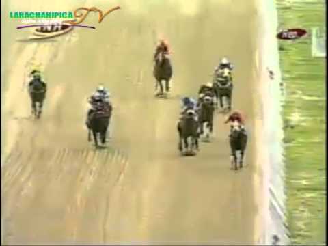 TOMA DE FRENTE DE LA 9 CARRERA DOMINGO 24 DE AGOSTO DEL 2014