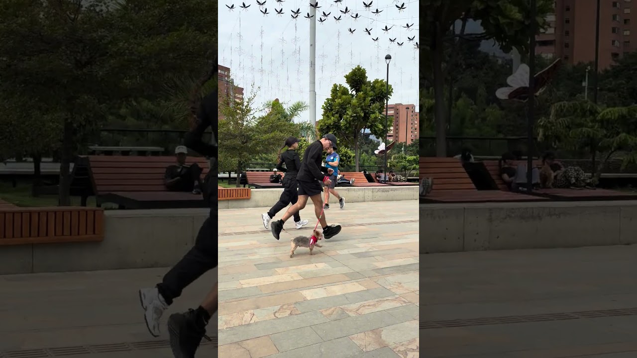 Jorge Emilio Navarro Palmera-95