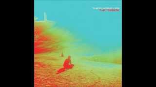 The Flaming Lips - You Lust feat. Phantogram