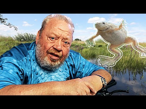 ZWERGKRALLENFROSCH | NORBERTS WELT | ZOO ZAJAC