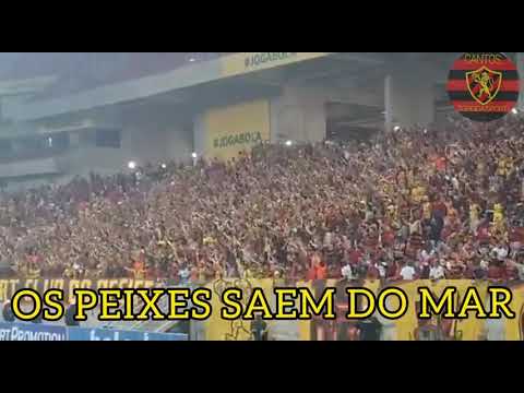 TORCIDA JOVEM DO SPORT CANTANDO NA VITÓRIA CONTRA O JAHIA NA ARENA PE